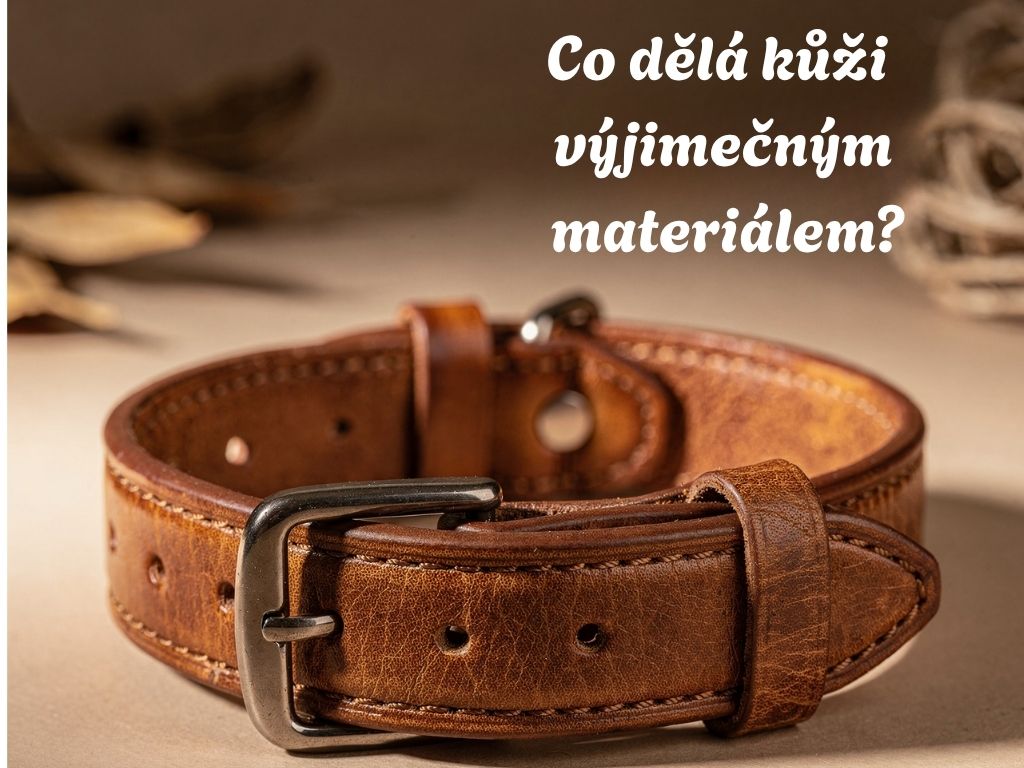 Co dělá kůži výjimečným materiálem